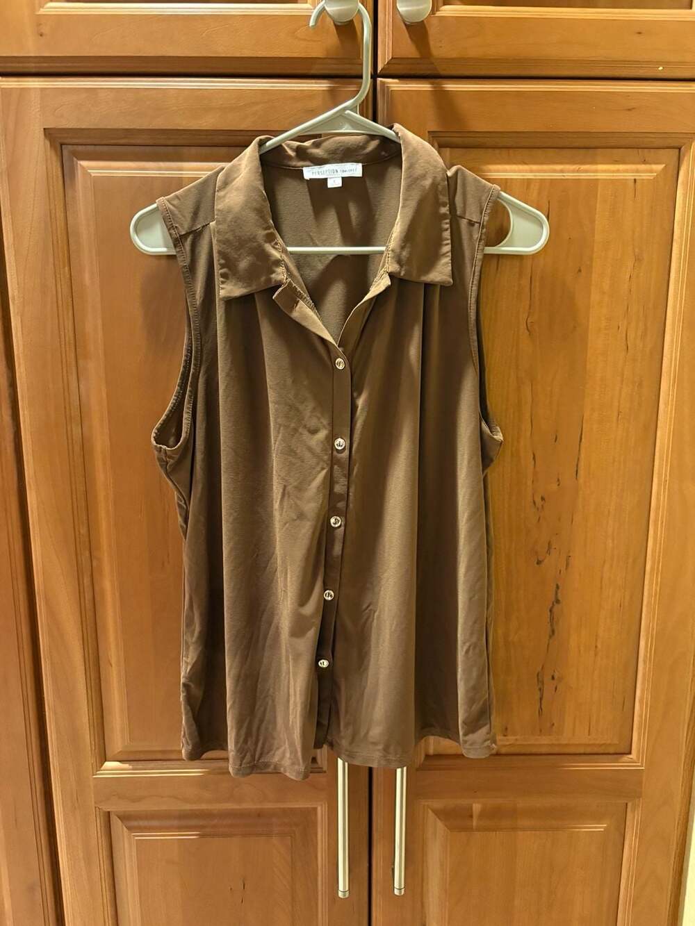 Perception Concept Sleeveless Button-Down Blouse Size L Brown Collared
